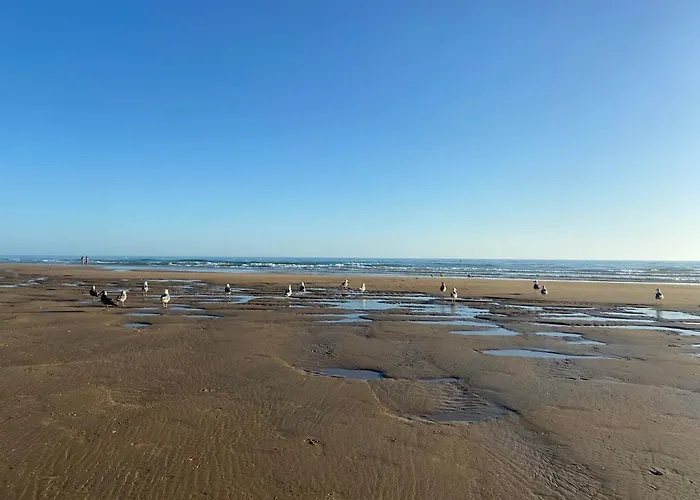 Affittacamere Mellizos Conil De La Frontera