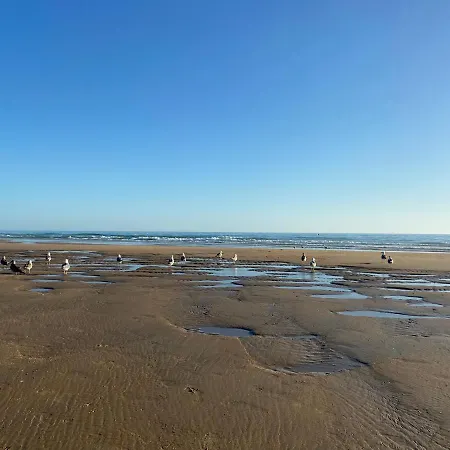 Guest house Mellizos Conil De La Frontera