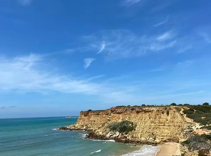 Mellizos